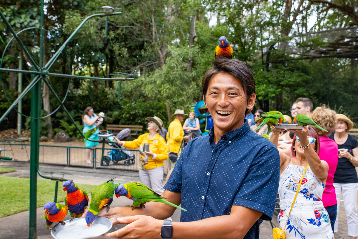 gold coast currimbin wildlife sanctuary