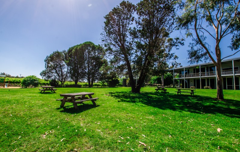 16 Cape Horn Vineyar