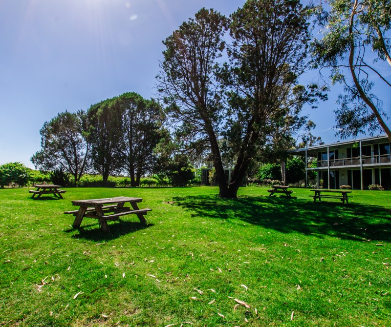 16 Cape Horn Vineyar