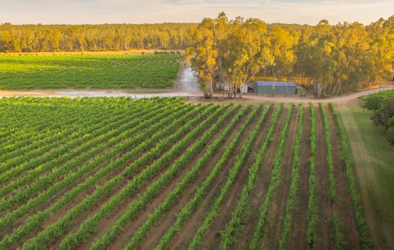 2 Cape Horn Vineyard Arial Photo