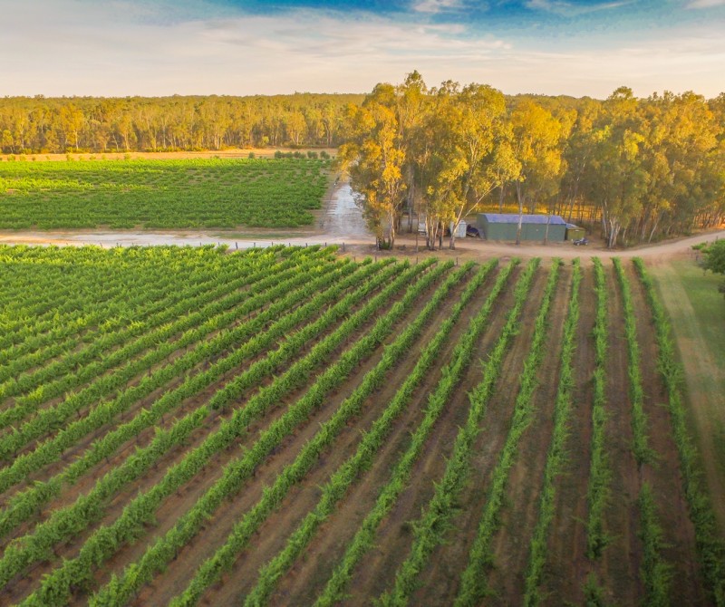 2 Cape Horn Vineyard Arial Photo