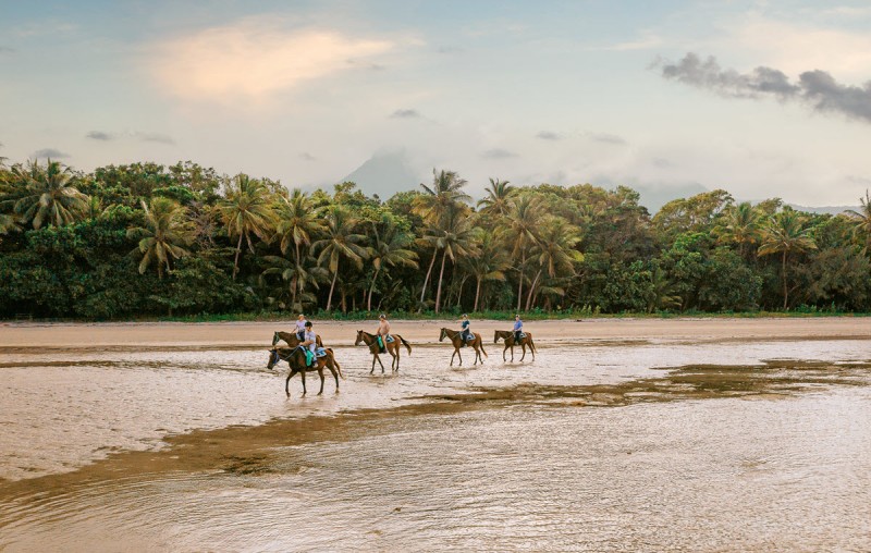 cape tribulation horse riding