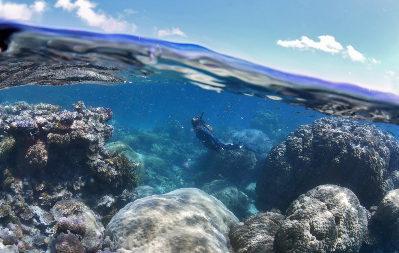 port douglas silversonic dive snorkel