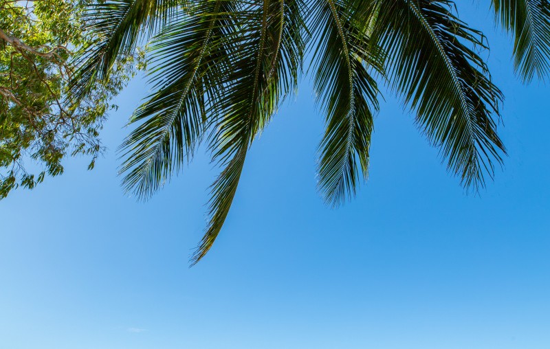 304 SeaTemple PalmCove HighRes 20